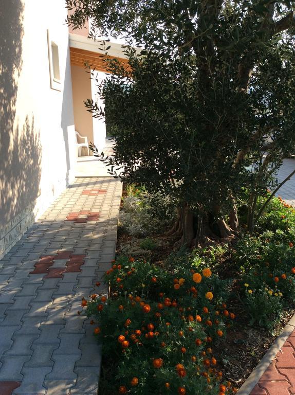 Apartments Franov Бибинє Екстер'єр фото